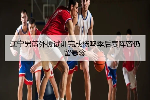 辽宁男篮外援试训完成杨鸣季后赛阵容仍留悬念