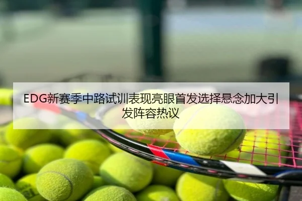 EDG新赛季中路试训表现亮眼首发选择悬念加大引发阵容热议